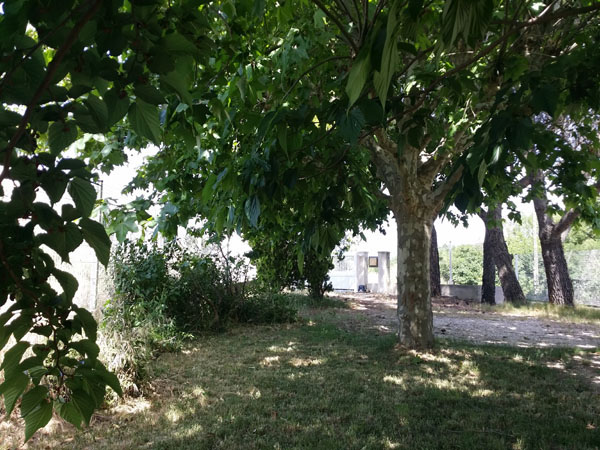 la vue depuis le fauteuil